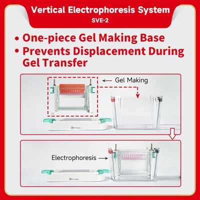 SVE-2 垂直型電気泳動装置
