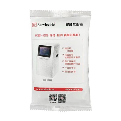 WB転写スポンジ(フィルターペーパーレス)